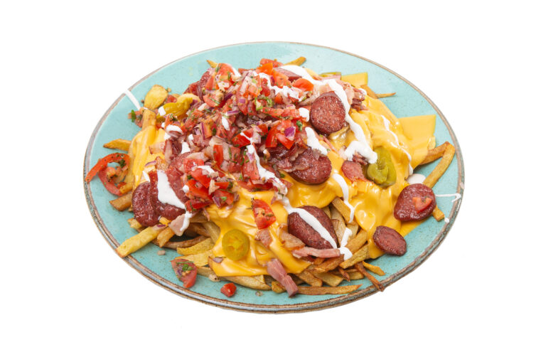 Loaded Fries